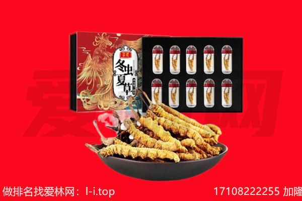 灵山县回收虫草.jpg